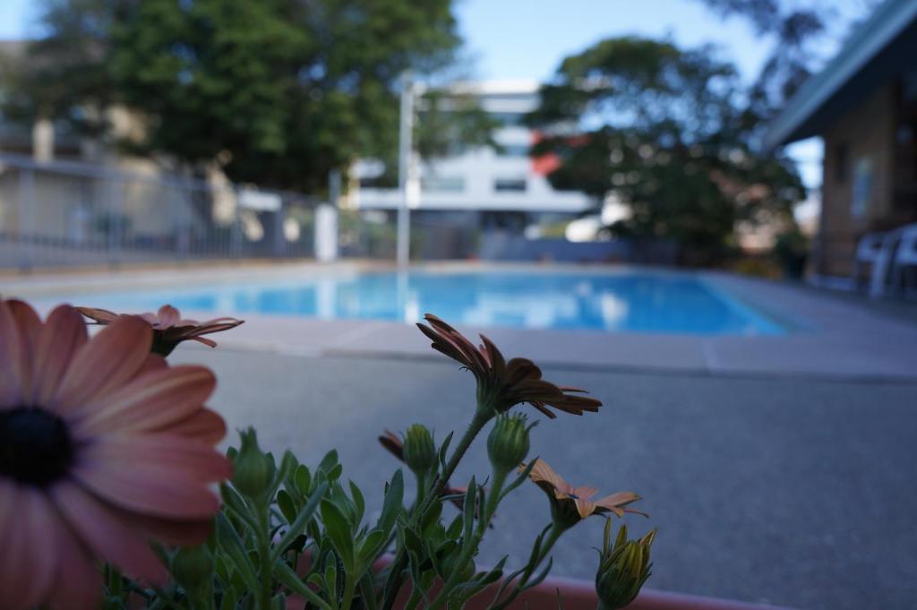 Panorama Motor Inn Newcastle Extérieur photo